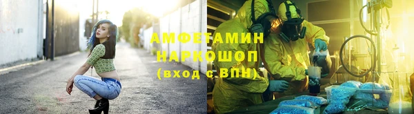 сатива Баксан