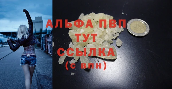 сатива Баксан